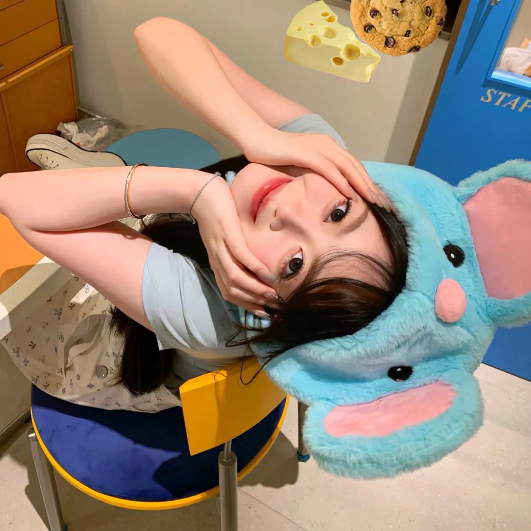 花落莺啼春封面