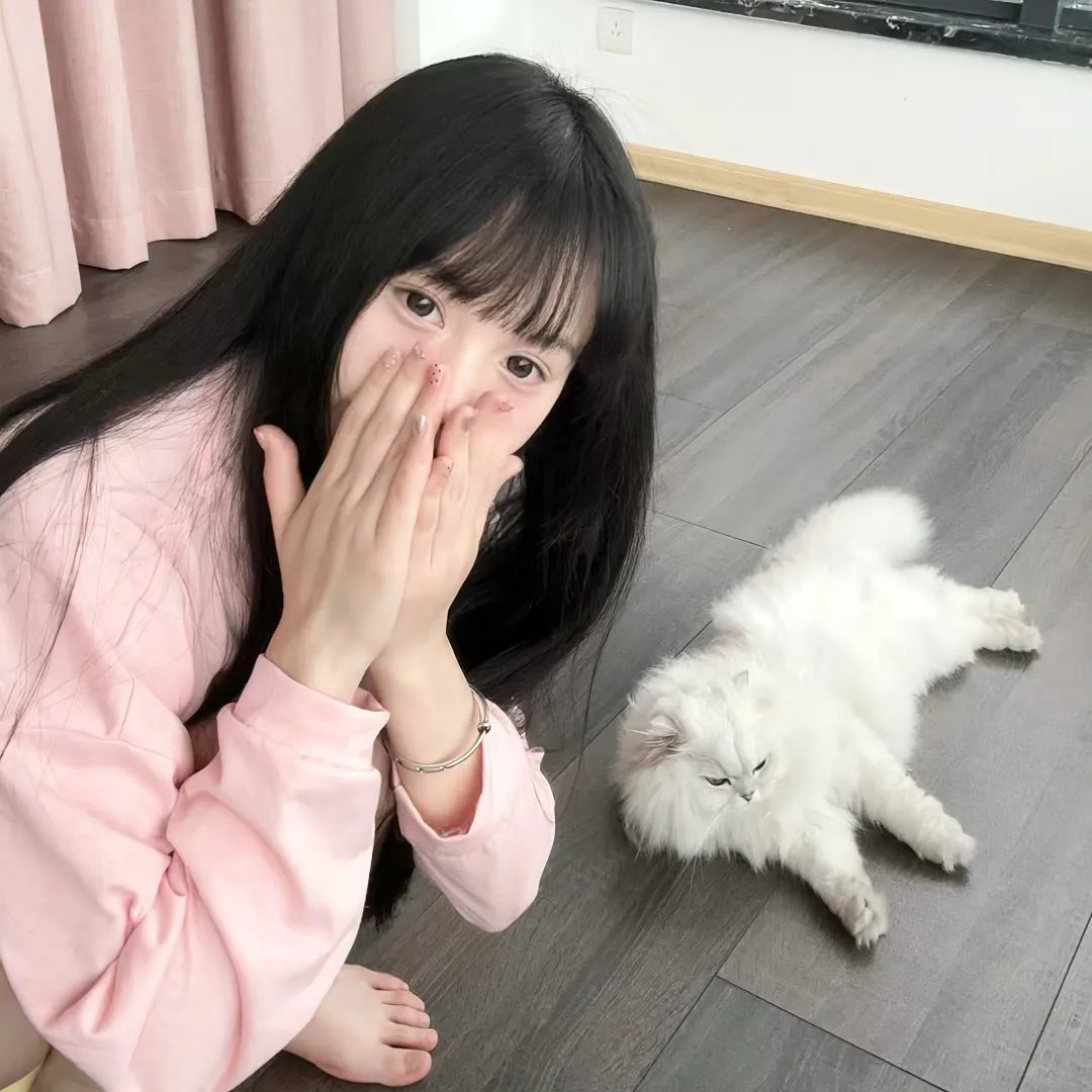 爱马的女孩封面